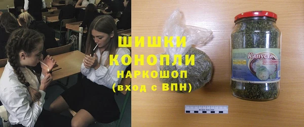 прущие грибы Алзамай
