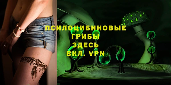 не бодяженный Няндома