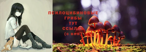 винт Нягань