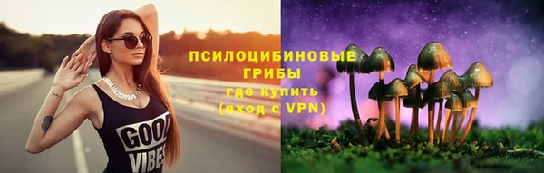 не бодяженный Няндома