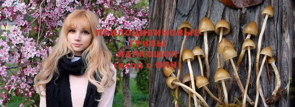 дурь Нязепетровск