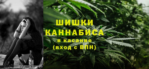 прущие грибы Алзамай