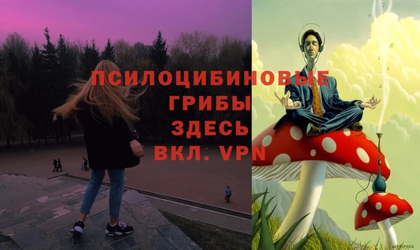 кокс Алексеевка