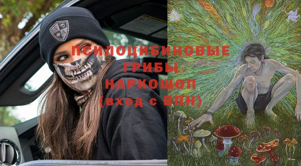 прущие грибы Алзамай